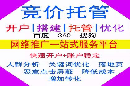 SEM实战案例：案例分析广告效果评估