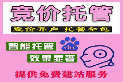 创新驱动：SEM竞价优化的多维度案例分析